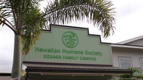 Humane society oahu - Specialties: On Oahu, the Hawaiian Humane Society shelters, rescues, adopts and welcomes animals all day, and every day. We offer the widest variety of adoptable pets on Oahu. Our mission is to promote the human-animal bond and the humane treatment of all animals. Hawaiian Humane Society is Oahu's animal welfare organization that …